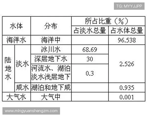 北京篮球队的意识探讨与发展路径分析