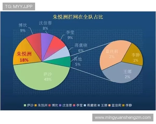 深圳排球队的节奏变化分析与战术调整对比赛结果的影响