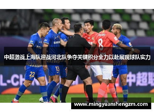 中超激战上海队迎战河北队争夺关键积分全力以赴展现球队实力