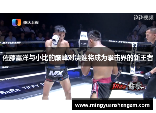 佐藤嘉洋与小比的巅峰对决谁将成为拳击界的新王者